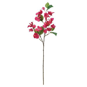 asca u[QrA ԍ  Be   Bep