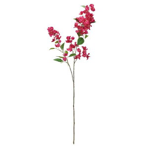 花 ブーゲンビリアの人気商品 通販 価格比較 価格 Com 花 ブーゲンビリアの人気商品 通販 価格比較 価格 Com