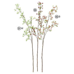 asca ubTu` ԍ  Be   Bep