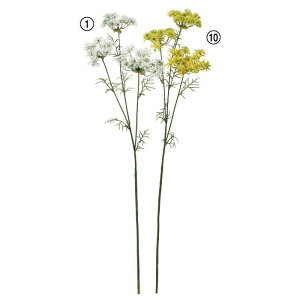 asca NC[AY[X ԍ  Be   Bep