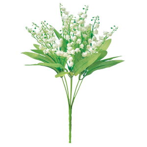 asca XYubV ԍ  Be   Bep