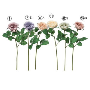 asca [Y o KN ԍ  Be   Bep