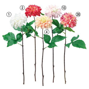 asca _A ԍ  HF Be   Bep