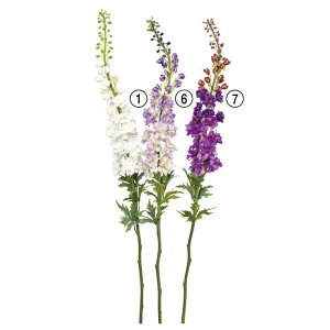 asca ftBjE ԍ  Be   Bep