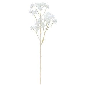 asca AAXv[ ԍ  Be   Bep