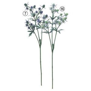 asca GWE ԍ  Be   Bep