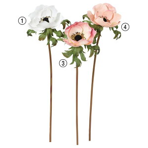 asca All ԍ  Be   Bep