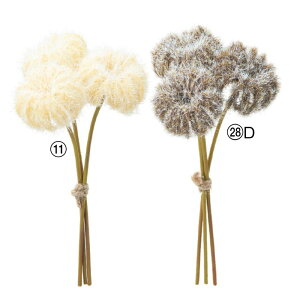 asca N}`XV[ho` ԍ  Be   Bep