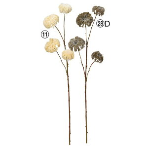 asca N}`XV[hXv[ ԍ  Be   Bep