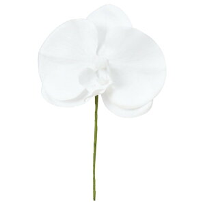 asca R`EsbNiLj Ӓ t@mvVX   ԍ  Be   Bep