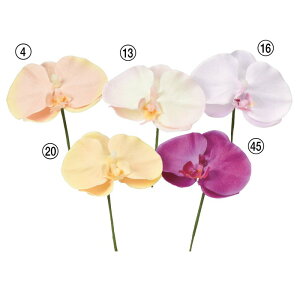 asca R`EsbNiLj Ӓ t@mvVX   ԍ  Be   Bep