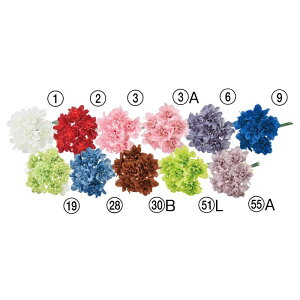 asca _Aoh   ԍ  Be   Bep