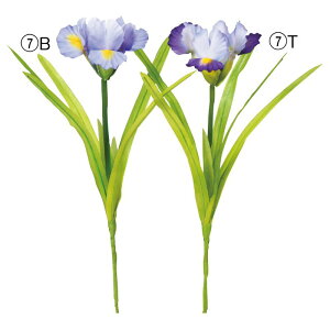 asca ACXsbN ԍ  Be   Bep