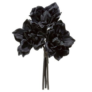 asca _A ԍ  Be   Bep