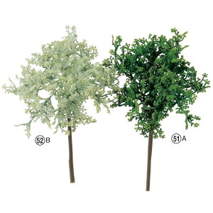 asca t@[sbN ԍ  fBXvC AW