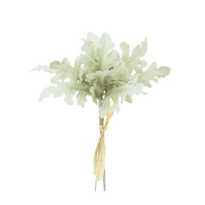 asca ~j_XeB~[o` ԍ  Be   Bep