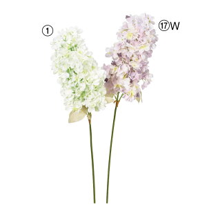 asca nChWA ԍ  t[  fBXvC AWg  Be   Bep