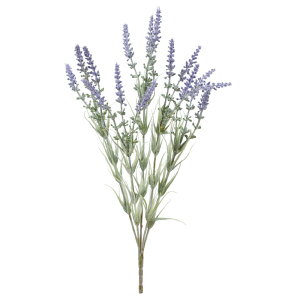 asca x_[ubV ԍ  t[  fBXvC AWg  Be   Bep