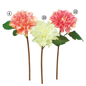 asca _A ԍ  t[  fBXvC AWg  Be   Bep