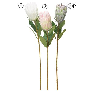 asca veA ԍ  t[  fBXvC AWg  Be   Bep