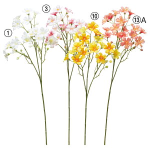 asca ~jt[Xv[ ԍ  t[  fBXvC AWg  Be   Bep