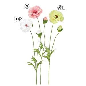 asca |s[ ԍ  t[  fBXvC AWg  Be   Bep