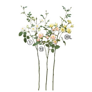 asca [Y ԍ  t[  fBXvC AWg  Be   Bep