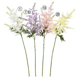 asca AX`x ԍ  t[  fBXvC AWg  Be   Bep