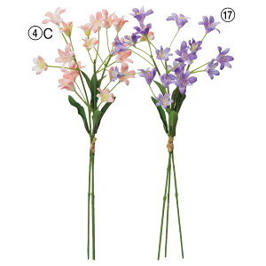 asca ~jXv[o` ԍ  t[  fBXvC AWg  Be   Bep