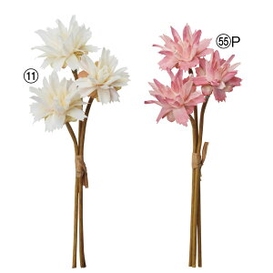 asca ~jt[o` ԍ  t[  fBXvC AWg  Be   Bep