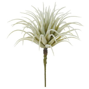 asca eBhVA ԍ  Be   Bep