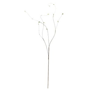 asca ~j[tu` ԍ  Be   Bep