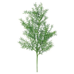 アスパラガス Diy 工具の人気商品 通販 価格比較 価格 Com