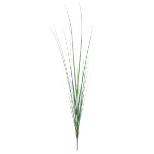 グラス 植物の人気商品 通販 価格比較 価格 Com