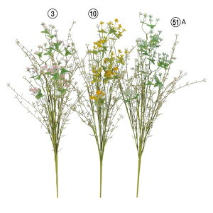 asca OXubV ԍ  Be   Bep