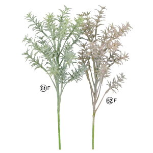 asca [Y}[sbN o KN ԍ  fBXvC AW