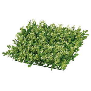 asca OX}bg tFCNO[ ϗtA  