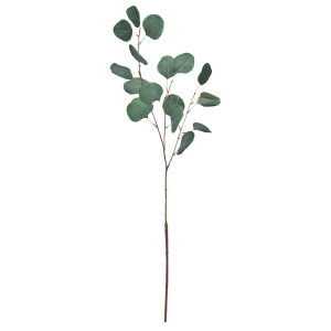 asca [J ԍ  Be   Bep