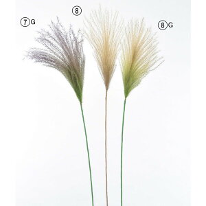 asca ppX ԍ  Be   Bep