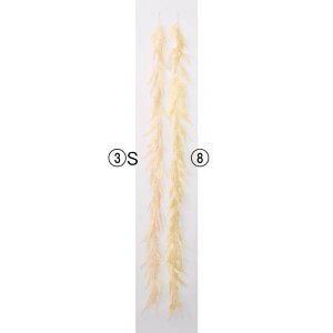 asca TCvX[tK[h ԍ  Be   Bep