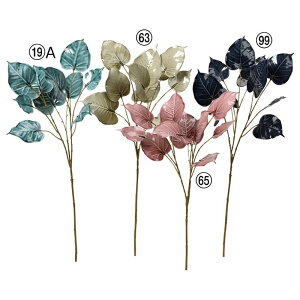 asca |[Z^b`t@CJX[t ԍ  Be   Bep