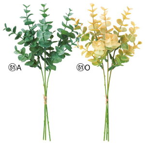 asca ~j[Jo` ԍ  Be   Bep