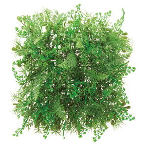 asca OX}bg tFCNO[ ϗtA 