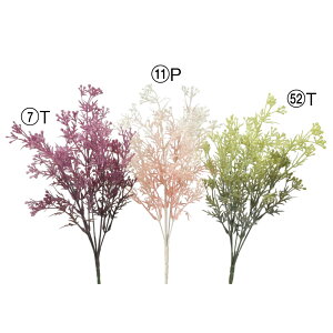 asca ~jt[ubV tFCNO[ ϗtA 