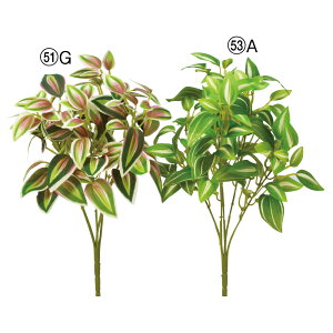 asca gfBXJeBA[tubV tFCNO[ ϗtA 