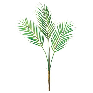 asca p[[tubV ԍ  t[  fBXvC AWg  Be   Bep