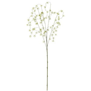 asca [JV[hXv[ ԍ  Be   Bep