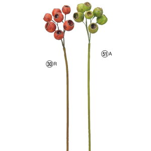 asca V[hNX^[ ԍ  Be   Bep