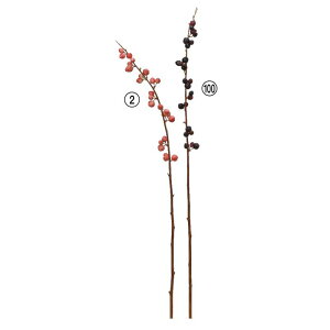 asca x[Xv[ ԍ  Be   Bep