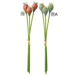 asca |s[V[h ԍ  Be   Bep